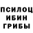 Псилоцибиновые грибы Psilocybine cubensis Ezzo Kenan