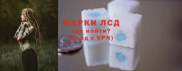 PSILOCYBIN Бежецк