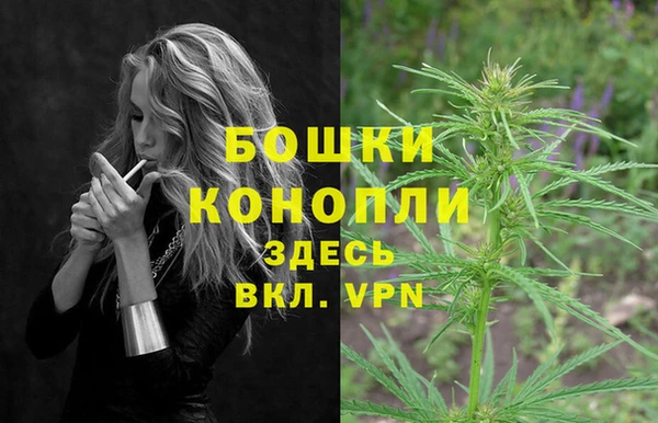 PSILOCYBIN Заволжск