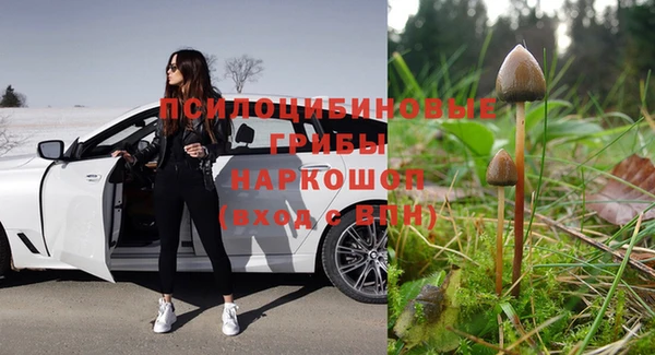 PSILOCYBIN Заволжск