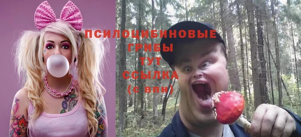 PSILOCYBIN Заволжск