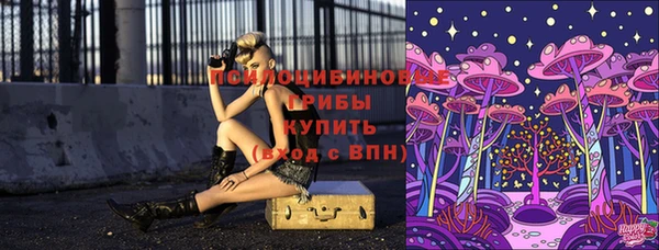 винт Белая Холуница