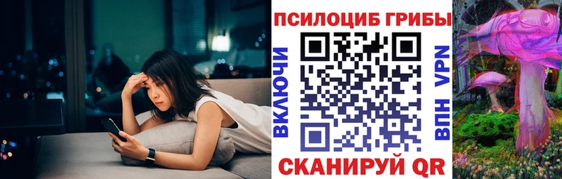 Галлюциногенные грибы мицелий  Калачинск 