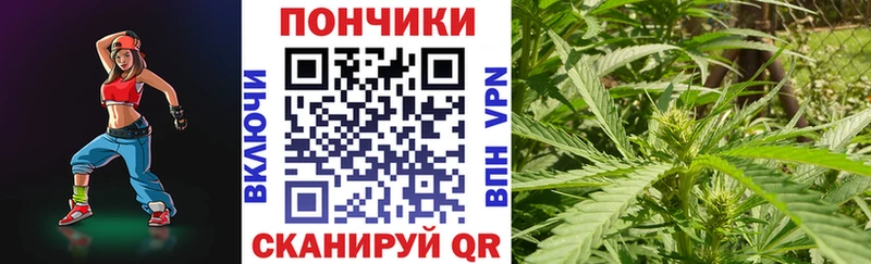 Конопля индика  MEGA ТОР  Калачинск  цена наркотик 